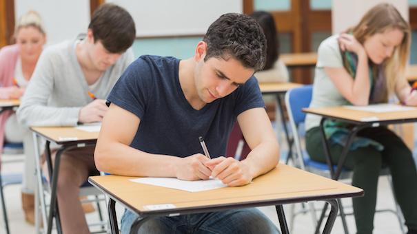 My relationship with nature essay picture